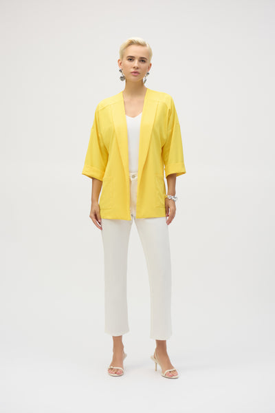 Plus Size Joseph Ribkoff 193198 – Gussied Up