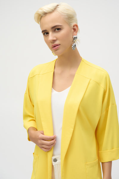 Plus Size Joseph Ribkoff 193198 – Gussied Up