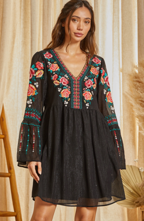 Shimmery Embroidered Bell Sleeve Dress