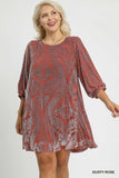 Velvet Burnout Swing Dress in Rose