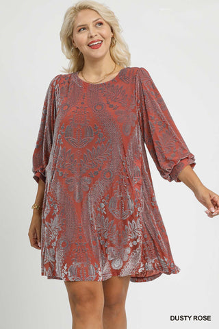 Velvet Burnout Swing Dress in Rose