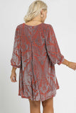 Velvet Burnout Swing Dress in Rose