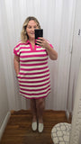 Stripe Collared Shift Dress in Pink